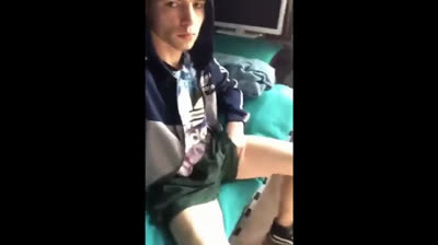 The Exhibit Guy at the house