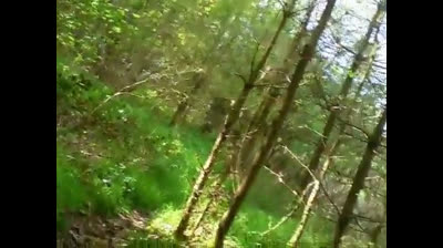 Big-Dick Daddy Barebacks Raw